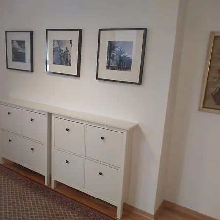 Luxury Delisan Apartment Split
